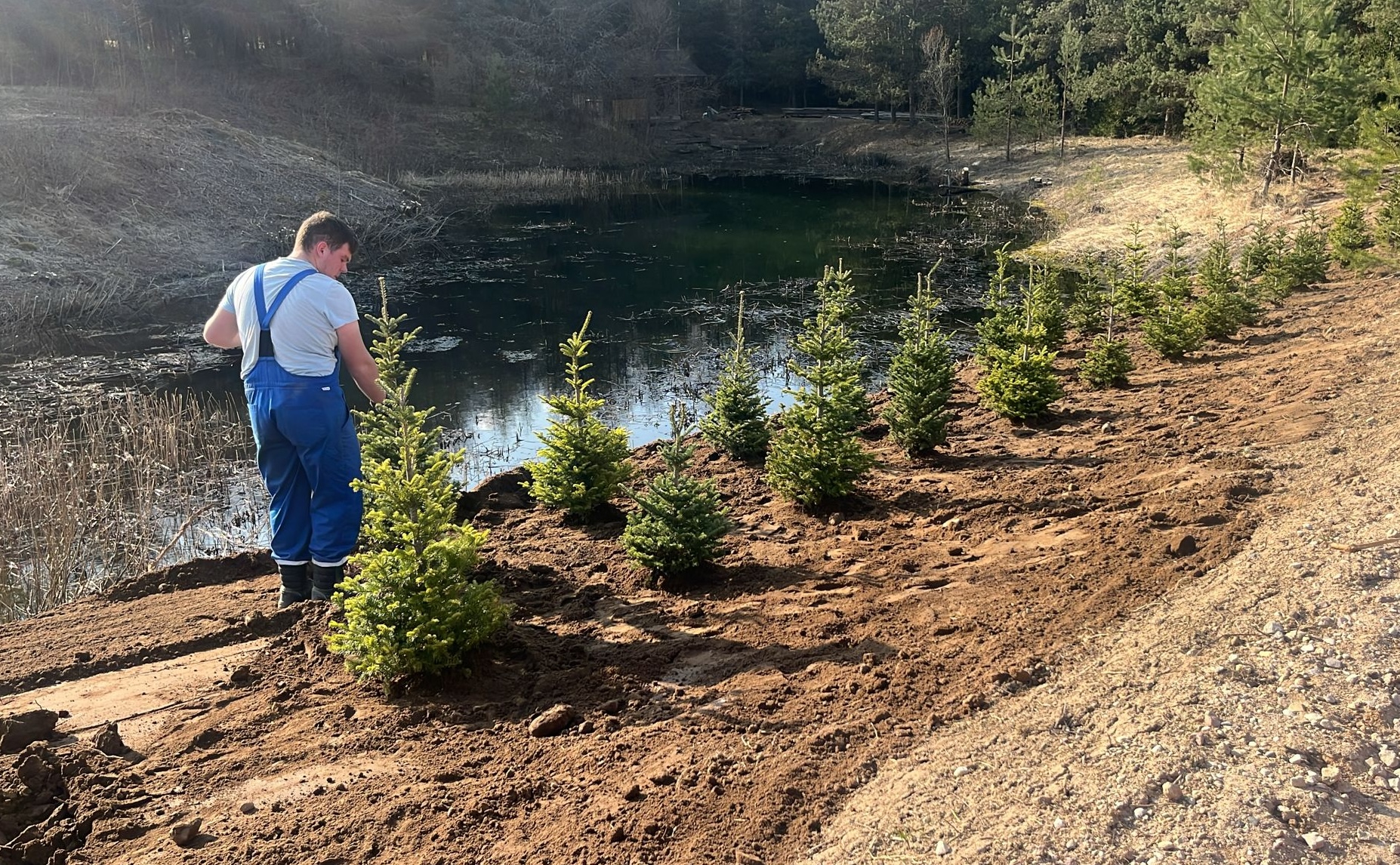 PROJEKTU APZAĻUMOŠANA – VEIDS, KĀ MAZINĀT IETEKMI UZ AINAVU. MATĪŠU PIEMĒRS